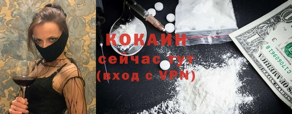прущий лед Алзамай