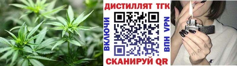 Купить где  Барнаул  ТГК концентрат 