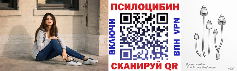 Купить закладки  Барнаул  Псилоцибиновые грибы Cubensis 