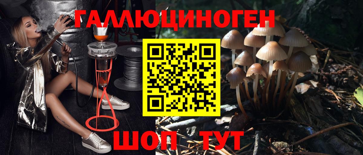Псилоцибиновые грибы прущие грибы  Вход с VPN  где можно купить наркотик  Барнаул 